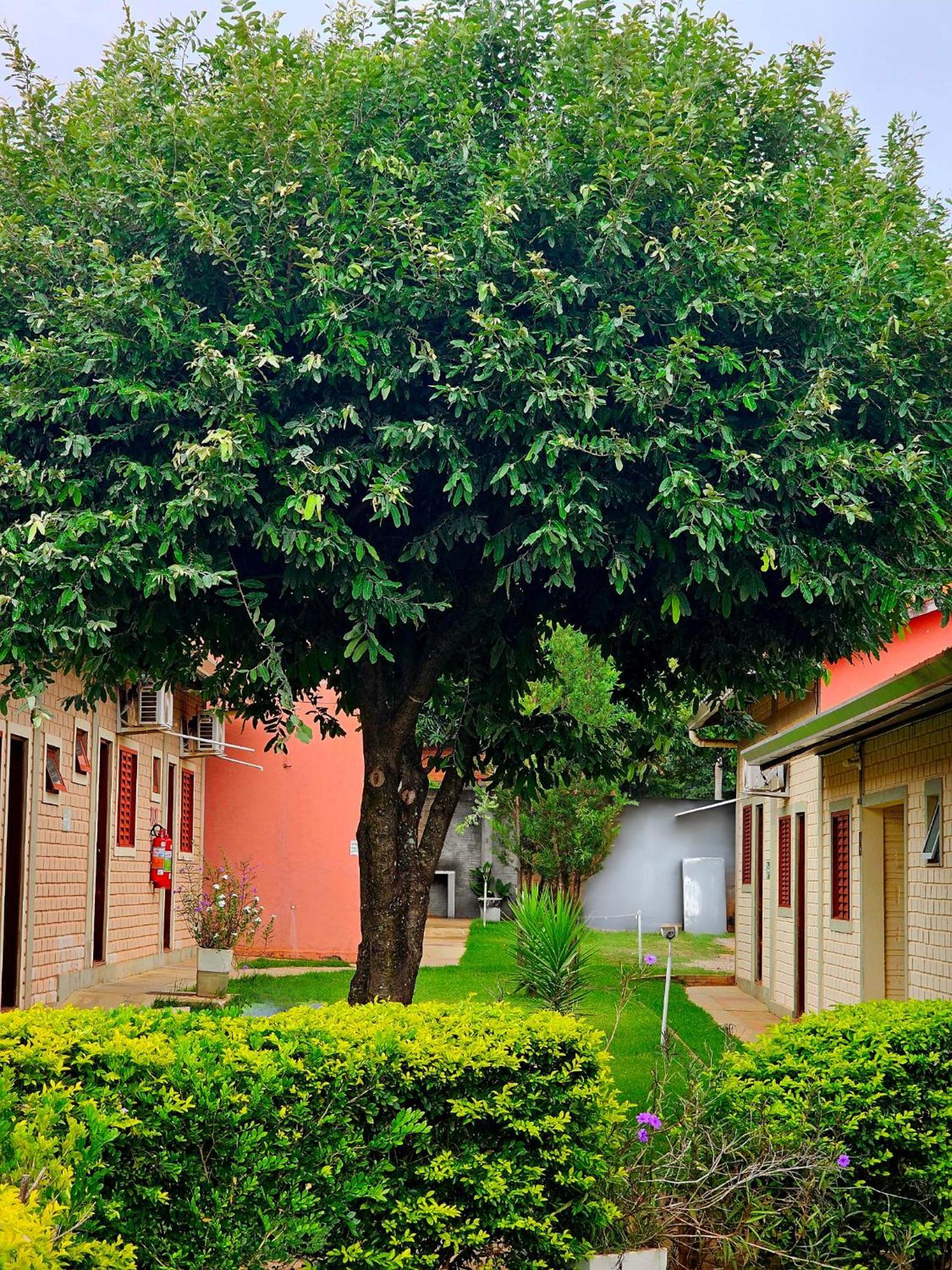 Bonito Hi Hostel E Pousada Kültér fotó
